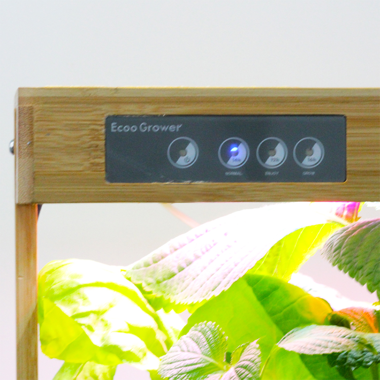 Система домашнего гидропонного – обзор и цена Smart Pod Garden