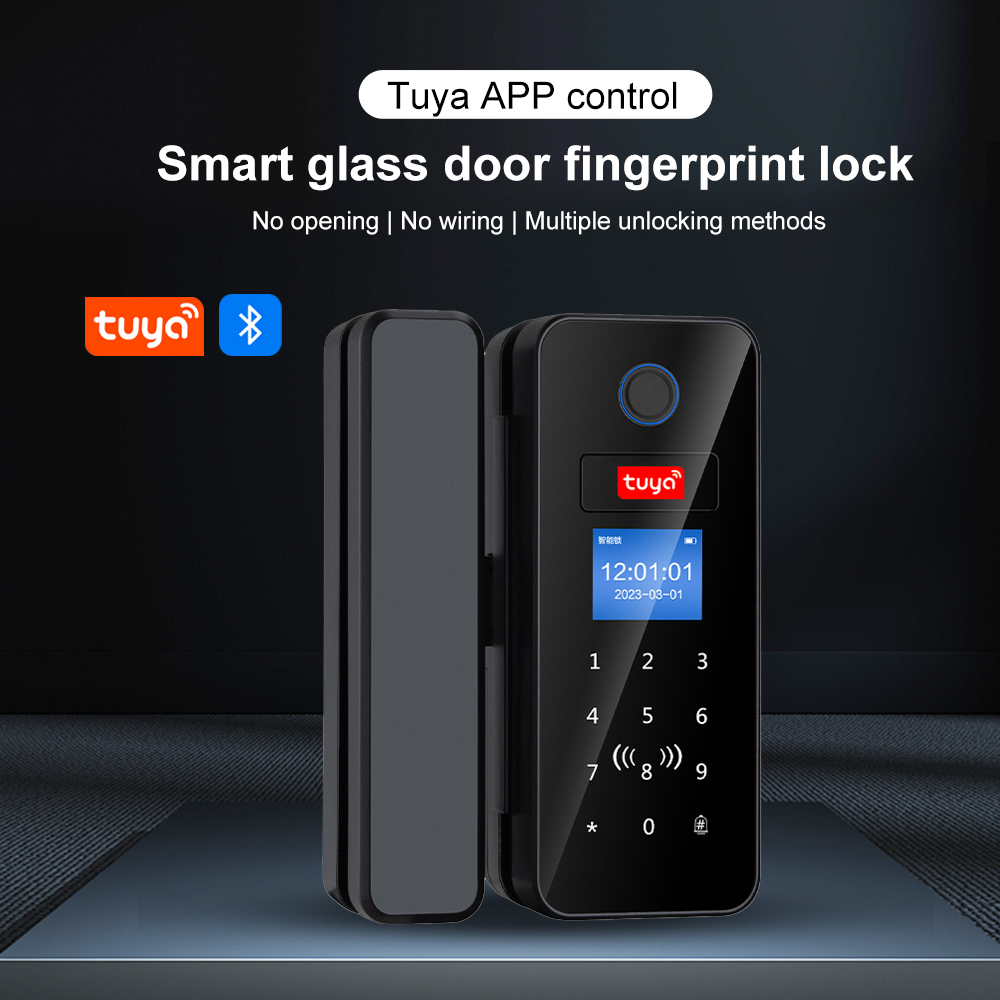 Умный стеклянный дверной замок – обзор и цена Smart Garden Gate Lock