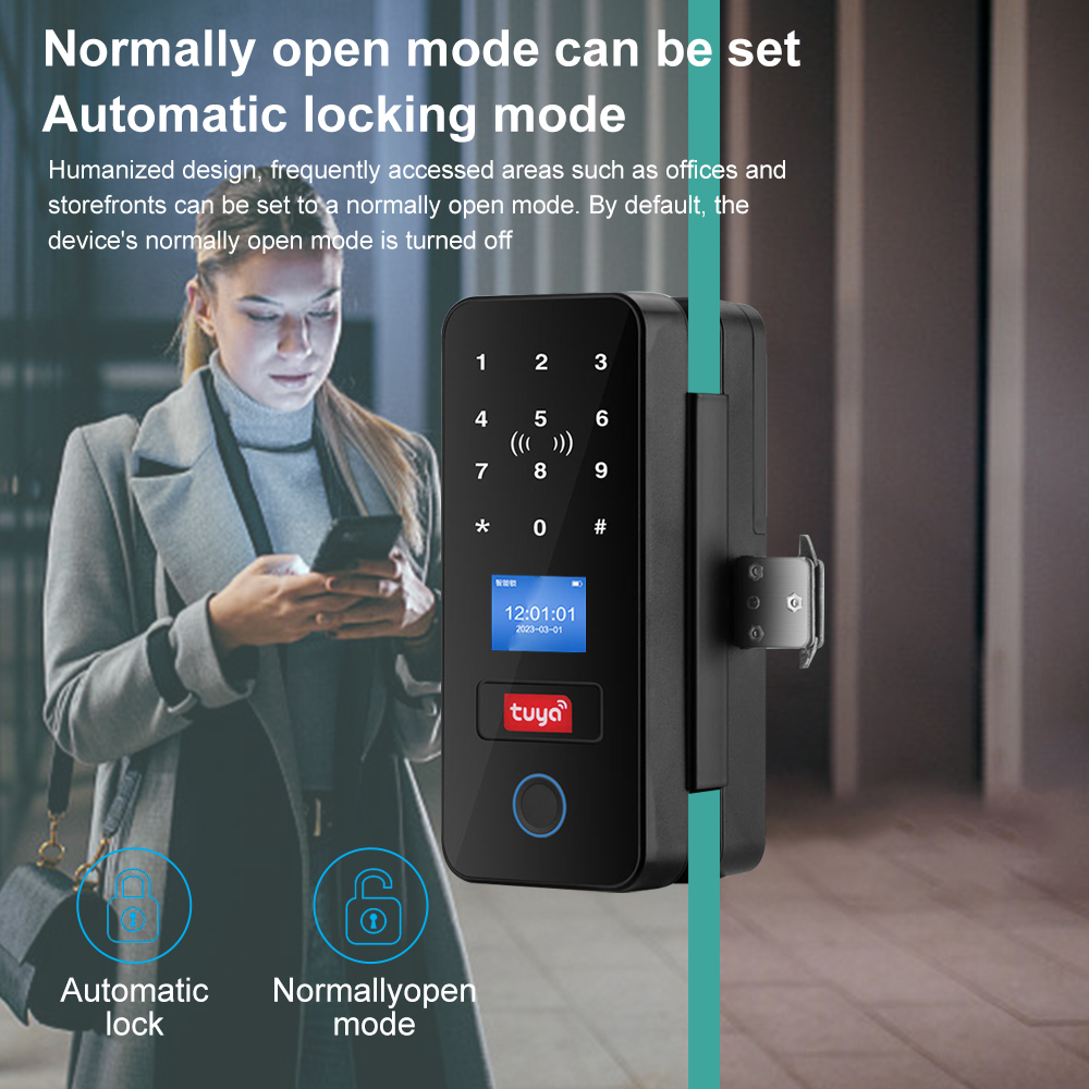 Умный стеклянный дверной замок – обзор и цена Smart Garden Gate Lock
