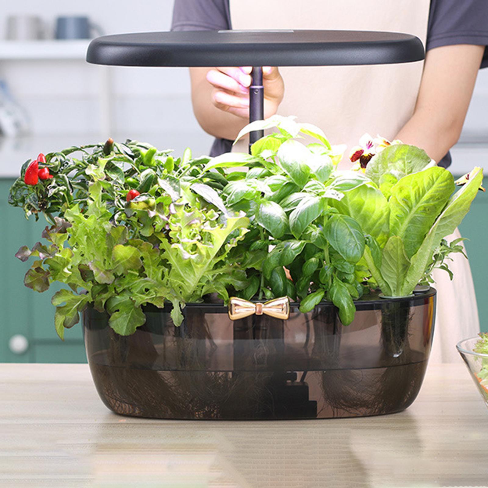 Машина для выращивания гидропо – обзор и цена Smart Pod Garden